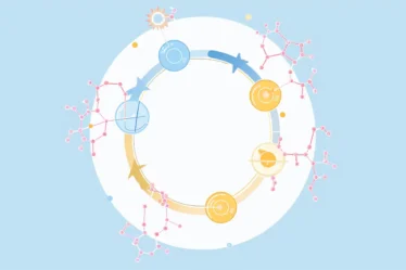 ALT Step-by-step Krebs cycle breakdown, showing how acetyl-CoA generates NADH, FADH₂, and ATP for cellular energy production