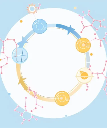 ALT Step-by-step Krebs cycle breakdown, showing how acetyl-CoA generates NADH, FADH₂, and ATP for cellular energy production